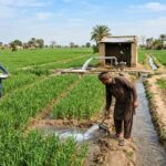 Complete Water and Fertilizer Management Guide for Pakistan Farming 2026