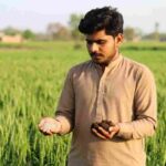 NPK vs Organic Fertilizer Which One is Better for Pakistani Farmers
