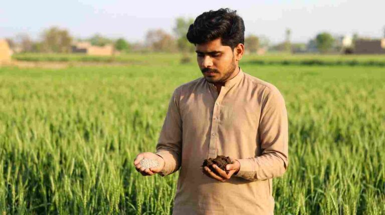 NPK vs Organic Fertilizer Which One is Better for Pakistani Farmers